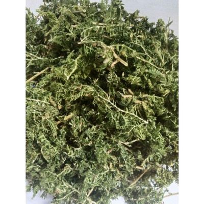 Daun Cakar Ayam - Selaginella doederleinii hieron Dried Leaves (80 Gram)