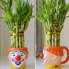 7 Lucky Bamboo Plants, 5x4 and 2x6, Bring Positive Energy, Easy to Care, Just Add Water with Butterfly Stake! view 2