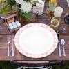 HEIPINIUYE 50 Pieces Light Pink Gingham Oval Paper Plates 10 X 12 Inch Pink and White Plates Disposable Dinner Plates for Picnic Wedding Baby Shower Birthday Party Dessert Plates view 4