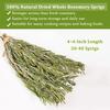 100% Natural Dried Whole Rosemary Sprigs, 2.0 ounces, Rosemary Sprigs Spices, 30~40 Pcs Sprigs, Perfect for Cooking & Baking view 3