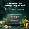 Mighty Leaf Tea Sampler - Assorted Flavors: Tropical Green - 40 Count Tea Pouches - Premium Black Tea with Rich Flavor - Individually Wrapped Tea Bags view 2