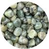 GAF TREASURES Wholesale Prehnite with Rutile Tumbled Stones, Polished Natural Prehnite with Rutile Gemstone, Prehnite with Rutile Polished Rocks (Prehnite with Rutile, 5 Pound) view 1
