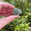 GAF TREASURES Wholesale Prehnite with Rutile Tumbled Stones, Polished Natural Prehnite with Rutile Gemstone, Prehnite with Rutile Polished Rocks (Prehnite with Rutile, 5 Pound) view 3