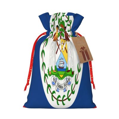 EWRFSG Flag Of Belize Christmas Gift Bags Christmas Gift Bags Assorted Size Christmas Gift Bags With Tags Xmas Party Holiday Gift Bags With