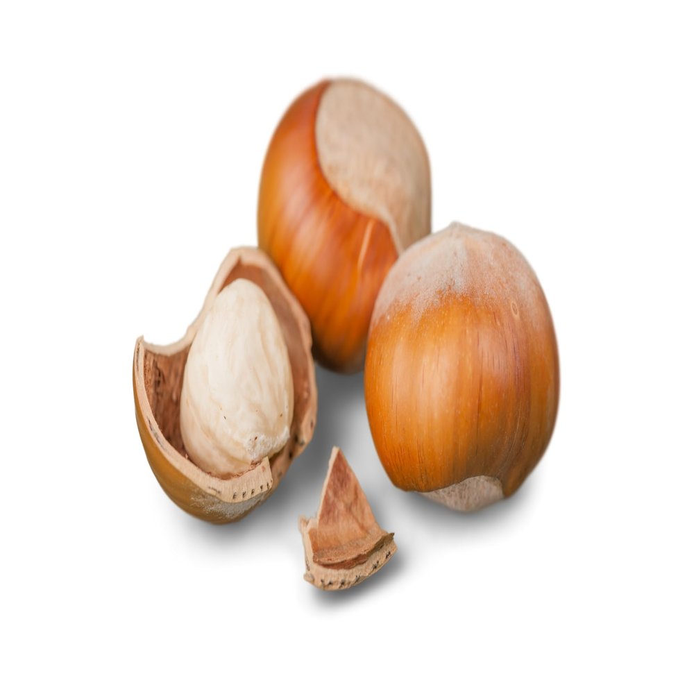 Fresh Organic | Great for Snacking, Baking, Cooking & Turkey Stuffing | Chestnuts By RawJoy