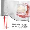 FOMIYES 8pcs Double Head Toothbrush Denture Brush for False Teeth Hard Bristles Dental Cleaning Brush view 3