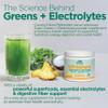 Country Farms Refreshers, Super Greens and Electrolytes, Essential Minerals and Superfoods, Hydration Support, Promotes Natural Energy, with Fiber, Pia Colada, 30 Servings view 4