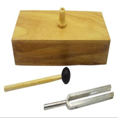 FKTHYO Wooden Speaker Resonance Physical Acoustics Experimental Equipment Teaching Tuning Fork Kit 256 Hz Tuning Fork with Wooden Resonant