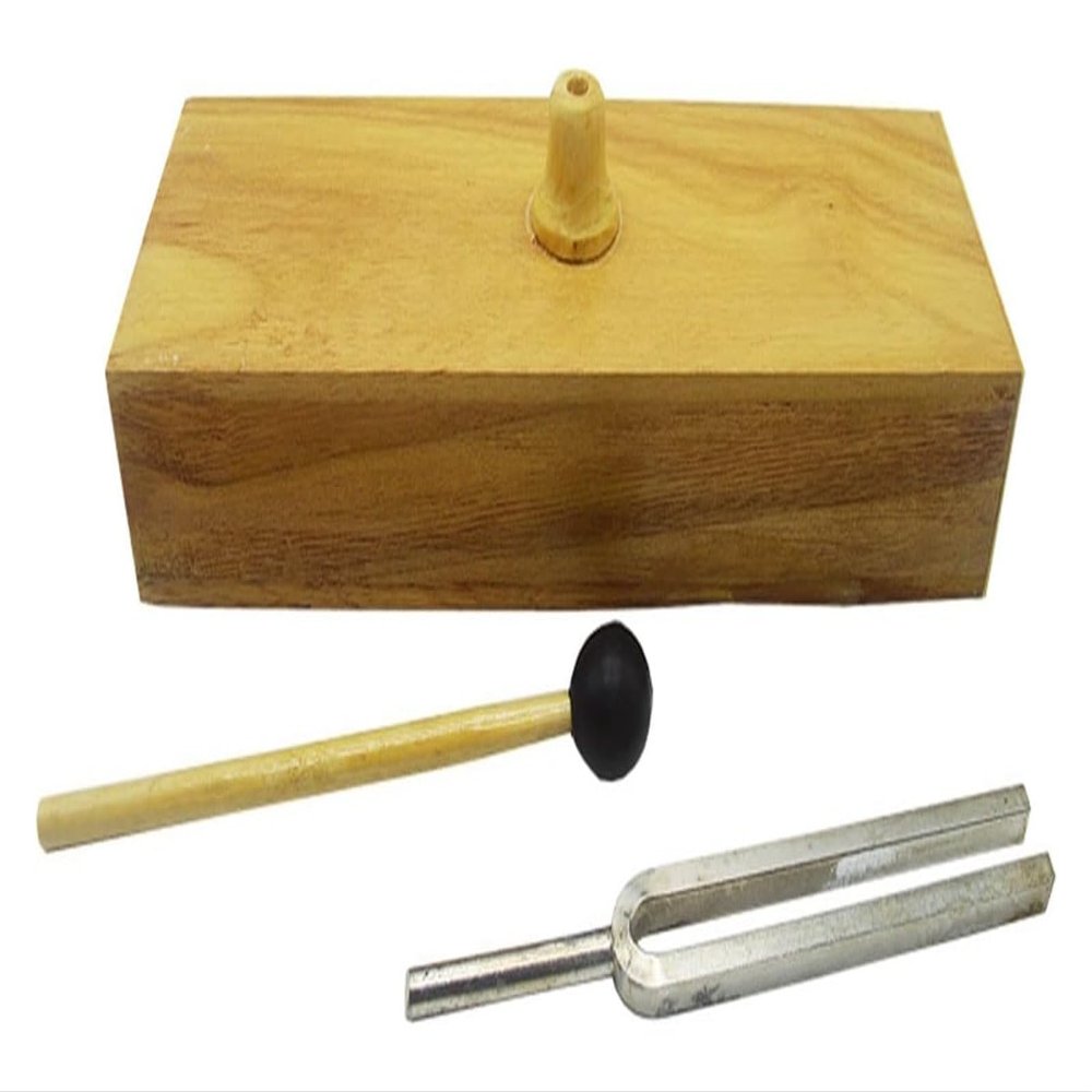 FKTHYO Wooden Speaker Resonance Physical Acoustics Experimental Equipment Teaching Tuning Fork Kit 256 Hz Tuning Fork with Wooden Resonant