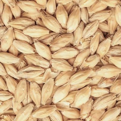 HEIDELBERG MALT 1lb German Spring Barley Uncrushed From BEST MALZ