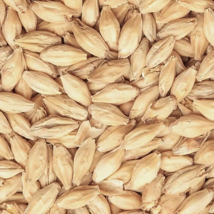 HEIDELBERG MALT 1lb German Spring Barley Uncrushed From BEST MALZ