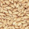 HEIDELBERG MALT 1lb German Spring Barley Uncrushed From BEST MALZ view 1