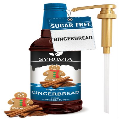 Syruvia Sugar Free Coffee Syrup, Gingerbread Flavored Syrup for Drinks, Lattes, and Desserts 25.4 fl oz - with Pump