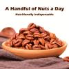 2025 New Season Mountain Walnut Kernels, Pecan Nuts, Nuts Kernels Cream-Flavored, Roasted Pecans Meats For Snack 7oz Shipping from California, U.S. view 2