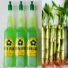 5 Lucky Bamboo 6 inches view 2