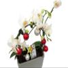 Christmas Infinity Loop with White Moth Orchid Plant in Gray Ceramic Pot- Phalaenopsis - 3" Pot - Easy House Plant view 2