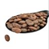 Raw Criollo Whole Cacao Beans 20g-4.9kg Theobroma Cacao (400 Grams) view 1