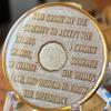 1 Year AA Medallion Skull Black Tri-Plate Sobriety Chip Serenity Prayer Back view 3