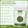 AEJESOP Dried Mint Leaves, 1.76 oz (50g) view 3