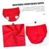 NULYLU 2pcs Portable Adult Diaper for Elderly Care Breathable Underwear for Travel Comfortable Fit for Incontinence Easy to Wear and Clean view 4