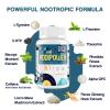 17-in-1 Brain Supplement for Memory and Focus | Nootropic Brain Supplement for Mental Clarity, Concentration, Alertness | Natural Nootropics with Herbal Extracts, Vitamins & Amino Acids (120 Tablets) view 3