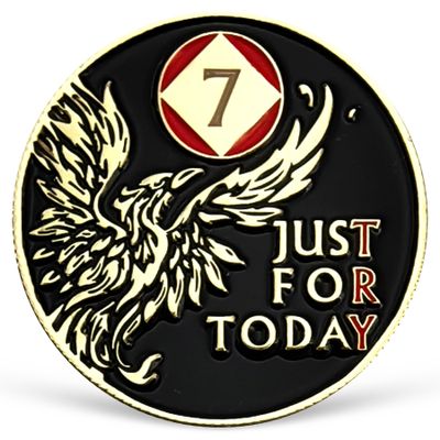 Phoenix 7 Year NA Medallion Just for Today Recovery Chip Anniversary Token