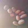 Pecans vary in size Texas Natives view 1
