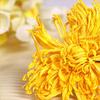 100% Pure Natural Dried Yellow Chrysanthemum Flower Tea (Huangju ) 2.82oz/80g Bulk, Caffeine-Free, Soothes Eyes & Clears Heat, Traditional Chinese Herbal Tea view 2