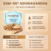 10-IN-1 Cortisol Supplements w/ KSM-66 Ashwagandha 300mg + L-Theanine 250mg, Magnesium Glycinate, Saffron, Phosphatidylserine, Turmeric & Vitamin C D3 B6 B5, For Women Men, 120 Capsules 2 Pack view 3