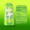 No Cap! Healthy Soda Alternative, Natural Allulose, Zero Sugar, Zero Calorie, Caffeine Free, | Hydrating Electolytes, Natural Flavors 16 oz. (Apple) view 2