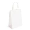 ClearBags White Paper Merchandise Handle Bags 90 Percent Recycled Content Twisted Paper Handles Bottom Gusset 7 1/16 x 3 9/16 x 9 1/16 Inches 100 GSM Kraft Paper 50 Pack GMB4W view 1