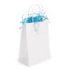 ClearBags White Paper Merchandise Handle Bags 90 Percent Recycled Content Twisted Paper Handles Bottom Gusset 7 1/16 x 3 9/16 x 9 1/16 Inches 100 GSM Kraft Paper 50 Pack GMB4W view 2