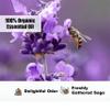 100% Pure Clary Sage Oil for Skin Hair Care, Candle Soap Making, Therapeutic Grade Organic Sage Essential Oil, Natural Sage Oil for Relaxation, Stress Relief, Aromatherapy Oil for Diffuser(500ml) view 3