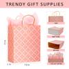 12 Pack 13" Large Kraft Paper Gift Bags Assortment with Tissue Paper & Handles, 12 Unique Solid & Geometric Pattern Designs for Birthdays, Anniversary, Father's Day, Holidays and Other Occasions view 2