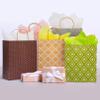 12 Pack 13" Large Kraft Paper Gift Bags Assortment with Tissue Paper & Handles, 12 Unique Solid & Geometric Pattern Designs for Birthdays, Anniversary, Father's Day, Holidays and Other Occasions view 4