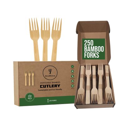 EcoRhine - Disposable Bamboo Cutlery Fork Set - 250 PCS Compostable Forks Utensil Set- Natural bamboo forks- Disposable Cutlery Set for Outdoor, Party, Camping & More