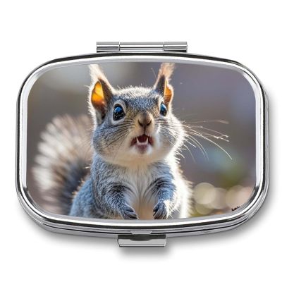 Pill Box 2 Compartment Medicine Pill Case Funny Cute Squirrel Printed Portable Pill Box Travel Pill Organizer for Pocket Purse Daily Medicine Vitamin Box Fish Oil Box Supplement Box
