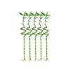 5 Stalks of 12 Inch Spiral Lucky Bamboo with one Free Bottle of Plant Food view 1