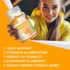 Nutravita Glucosamine Chondroitin Gummies with MSM & Elderberry Extra Strength - Joint Support, Antioxidant Immune Support Supplement for Adults, Men & Women.120 Orange Chews view 4