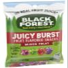 Black Forest Juicy Burst Fruit Snacks, Mixed Fruit, 2.25 Ounce Pouches (Pack of 12) bundled by SUPERDEALS with Mystery Gift view 2
