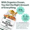 Organics Ocean Better Black Seed Oil Cold Pressed - Pure Nigella Sativa Oil for Immune Support - 5% Thymoquinone - Support Memory, Vitality, and Cellular Health - 6 Pack Bulk Supply view 3