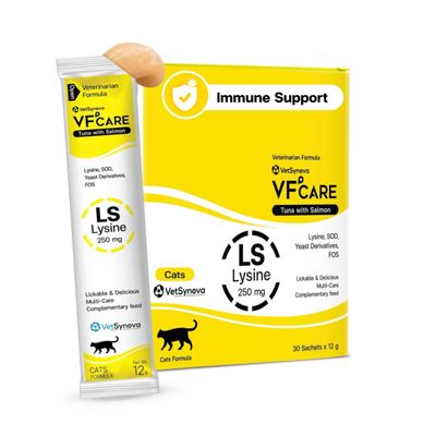 VFcare lysine for Cats l-lysine for Cats 250mg Tuna with Salmon Flavor Supplement Paste Supports Immunity FHV-1 Stress Recovery Digestion Calming no by-Products Vet Recommended 30 sachets
