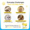 VFcare lysine for Cats l-lysine for Cats 250mg Tuna with Salmon Flavor Supplement Paste Supports Immunity FHV-1 Stress Recovery Digestion Calming no by-Products Vet Recommended 30 sachets view 2