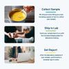 Gluten Allergen Food Swab Test Kit by SimpleLab | Lab Analysis for Gluten (Wheat) in Food or Beverage Samples view 4
