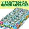 Mamba Tropics Assorted Fruit Chews - (Pack of 48) Perfect Party Favor Treats for Birthdays & Events view 2