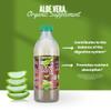 Naturae Healthy Aloe Vera Juice with Pulp Organic & Cold-Processed Supports Stomach Acidity Regulation and Overall Digestive Wellness - 33.8 fl oz view 3