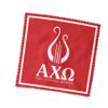 Alpha Chi Omega Eyeglass Cleaner & Microfiber Cleaning Cloth AXO (Alpha Chi Omega - 2) view 2