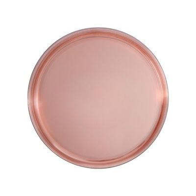 8 inches Transparent Rose Plastic Salad Plates Disposable, Elegant, Durable, Versatile Plates for Everyday Use, Parties, and Special Occasions BPA-Free, Easy to Clean, and Stylish Tableware (90)