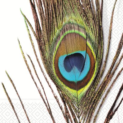 IHR Ideal Home Range Party Napkins Disposable 3-Ply Paper Lunch Napkin Pack, 6.5" x 6.5", Eye Of The Peacock, 20-Count