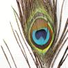 IHR Ideal Home Range Party Napkins Disposable 3-Ply Paper Lunch Napkin Pack, 6.5" x 6.5", Eye Of The Peacock, 20-Count view 1
